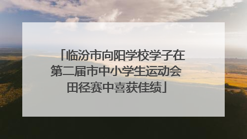 临汾市向阳学校学子在第二届市中小学生运动会田径赛中喜获佳绩