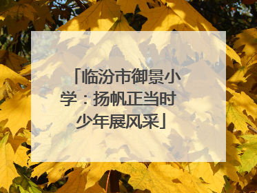 临汾市御景小学：扬帆正当时 少年展风采