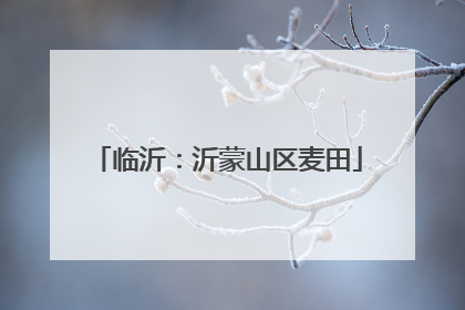 临沂：沂蒙山区麦田