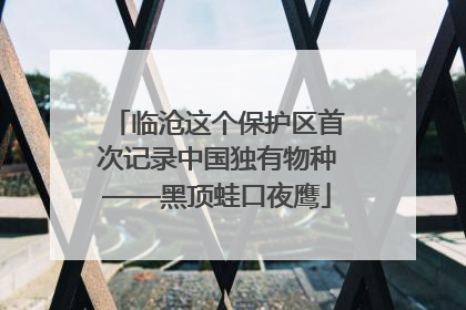 临沧这个保护区首次记录中国独有物种——黑顶蛙口夜鹰