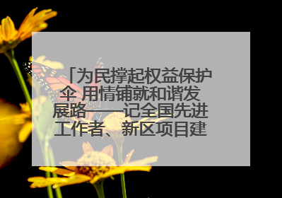 为民撑起权益保护伞 用情铺就和谐发展路——记全国先进工作者、新区项目建设中心干部卢小勇