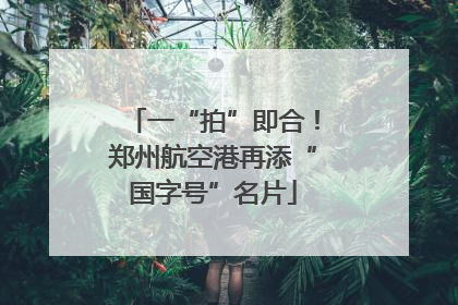 一“拍”即合！郑州航空港再添“国字号”名片