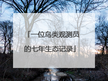 一位鸟类观测员的七年生态记录