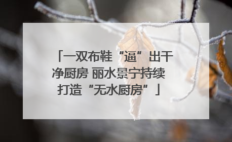 一双布鞋“逼”出干净厨房 丽水景宁持续打造“无水厨房”