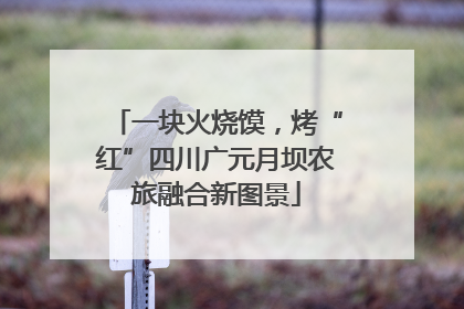 一块火烧馍，烤“红”四川广元月坝农旅融合新图景