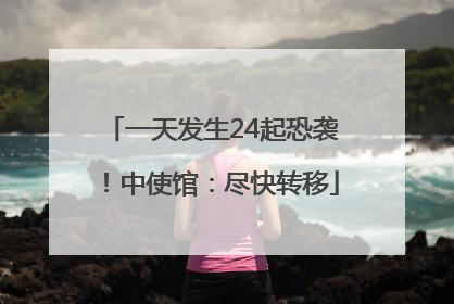 一天发生24起恐袭！中使馆：尽快转移