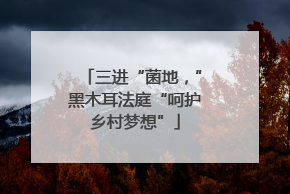 三进“菌地，”黑木耳法庭“呵护乡村梦想”