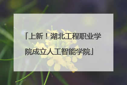 上新！湖北工程职业学院成立人工智能学院