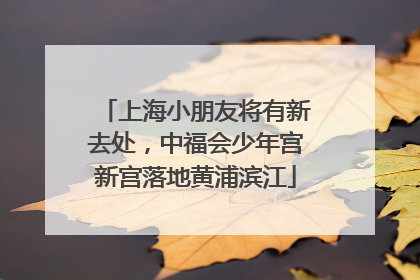 上海小朋友将有新去处，中福会少年宫新宫落地黄浦滨江