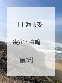 上海市委决定：张鸣履新