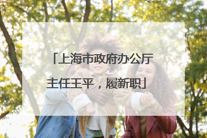 上海市政府办公厅主任王平，履新职