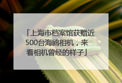 上海市档案馆获赠近500台海鸥相机，来看相机曾经的样子