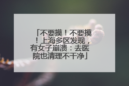 不要摸！不要摸！上海多区发现，有女子崩溃：去医院也清理不干净