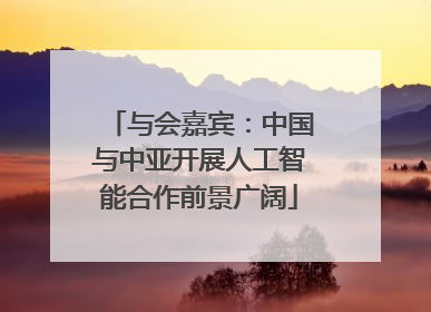 与会嘉宾：中国与中亚开展人工智能合作前景广阔