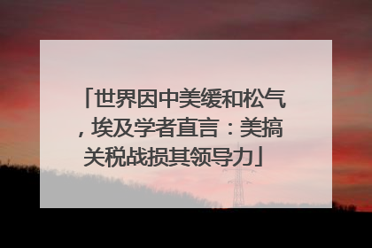 世界因中美缓和松气，埃及学者直言：美搞关税战损其领导力