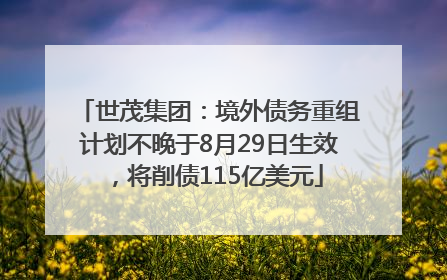 世茂集团：境外债务重组计划不晚于8月29日生效，将削债115亿美元