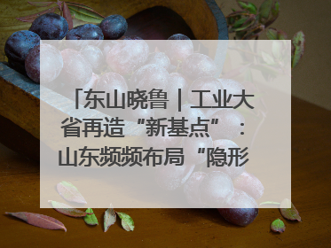东山晓鲁｜工业大省再造“新基点”：山东频频布局“隐形冠军”背后