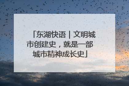 东湖快语｜文明城市创建史，就是一部城市精神成长史