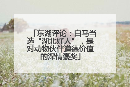 东湖评论：白马当选“湖北好人”，是对动物伙伴道德价值的深情褒奖