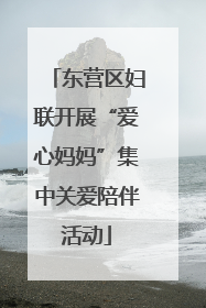 东营区妇联开展“爱心妈妈”集中关爱陪伴活动