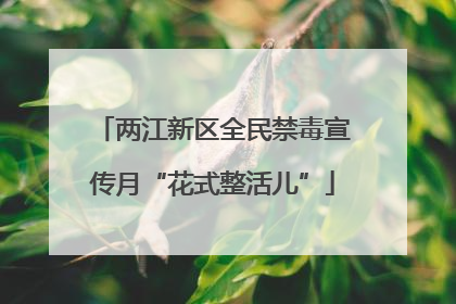 两江新区全民禁毒宣传月“花式整活儿”
