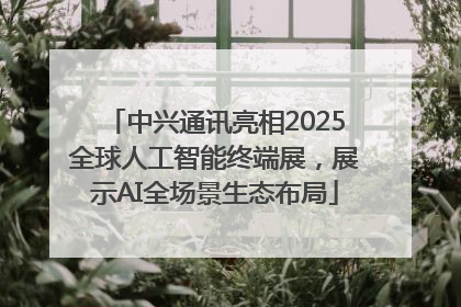 中兴通讯亮相2025全球人工智能终端展，展示AI全场景生态布局