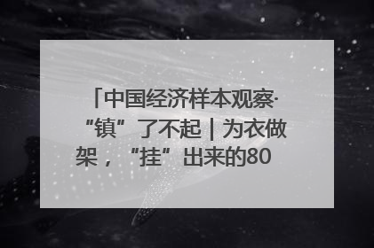 中国经济样本观察·“镇”了不起｜为衣做架，“挂”出来的80亿元“衣架产业”