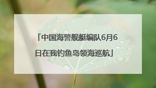 中国海警舰艇编队6月6日在我钓鱼岛领海巡航