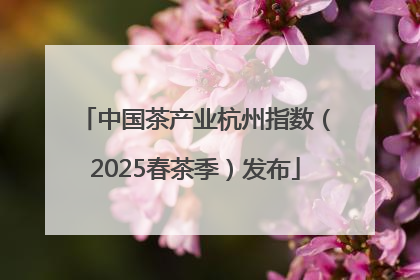 中国茶产业杭州指数（2025春茶季）发布