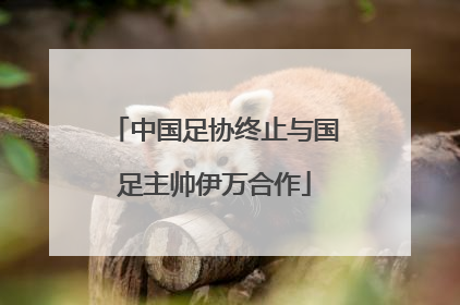 中国足协终止与国足主帅伊万合作