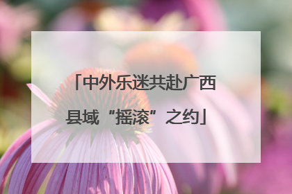 中外乐迷共赴广西县域“摇滚”之约