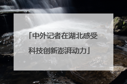 中外记者在湖北感受科技创新澎湃动力