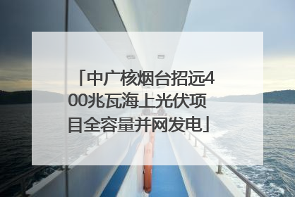 中广核烟台招远400兆瓦海上光伏项目全容量并网发电