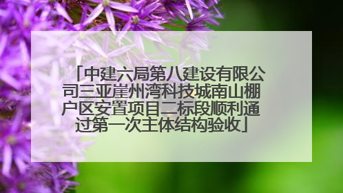 中建六局第八建设有限公司三亚崖州湾科技城南山棚户区安置项目二标段顺利通过第一次主体结构验收