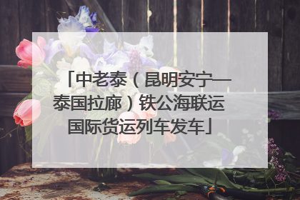 中老泰（昆明安宁—泰国拉廊）铁公海联运国际货运列车发车