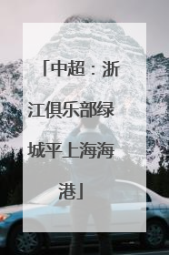 中超：浙江俱乐部绿城平上海海港