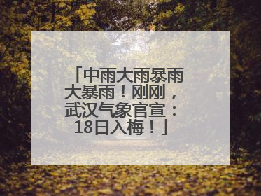 中雨大雨暴雨大暴雨！刚刚，武汉气象官宣：18日入梅！