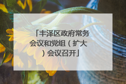 丰泽区政府常务会议和党组（扩大）会议召开