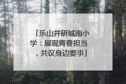 乐山井研城南小学：展现青春担当，共议身边要事