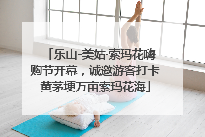 乐山-美姑·索玛花嗨购节开幕，诚邀游客打卡黄茅埂万亩索玛花海