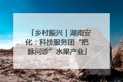 乡村振兴｜湖南安化：科技服务团“把脉问诊”水果产业