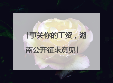 事关你的工资，湖南公开征求意见