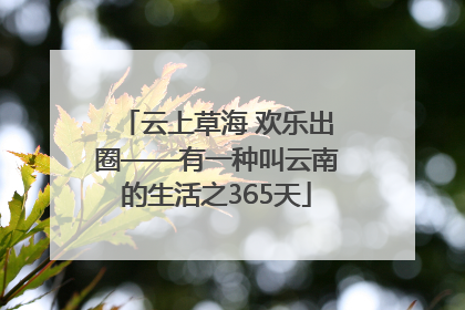 云上草海 欢乐出圈——有一种叫云南的生活之365天