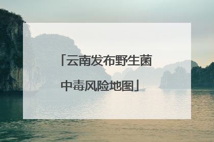云南发布野生菌中毒风险地图