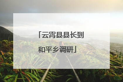 云霄县县长到和平乡调研