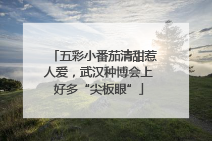 五彩小番茄清甜惹人爱，武汉种博会上好多“尖板眼”
