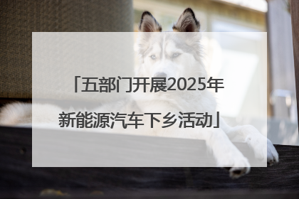 五部门开展2025年新能源汽车下乡活动
