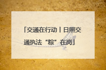 交通在行动丨日照交通执法“粽”在岗