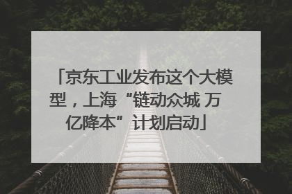 京东工业发布这个大模型，上海“链动众城 万亿降本”计划启动