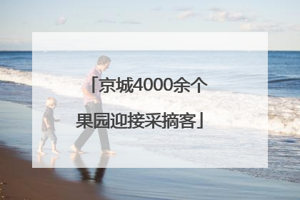 京城4000余个果园迎接采摘客